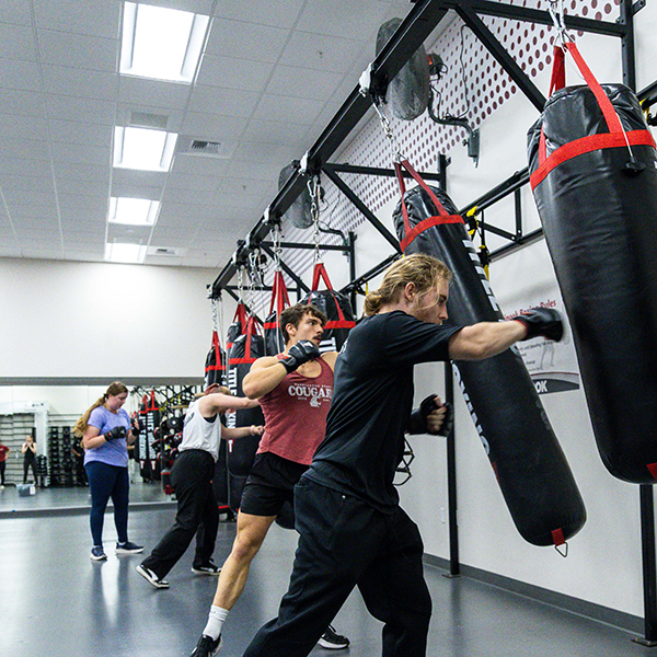 Fitness Classes